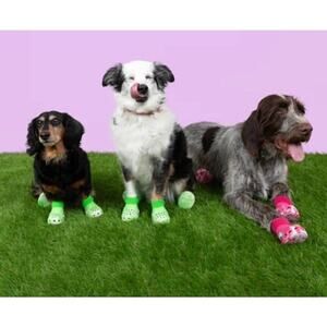 NWT Limited Edition BARK CROCS Lime Green Medium Dog Shoes